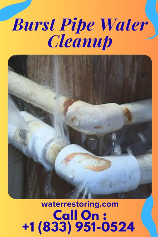 Burst Pipe Water Cleanup in Rohrsburg, PA