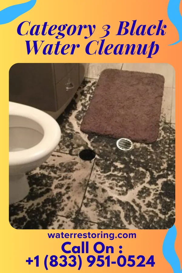 Category 3 Black Water Cleanup in Rohrsburg, PA